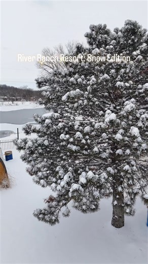 Absolutely beautiful, isn’t it? | River Ranch Resort