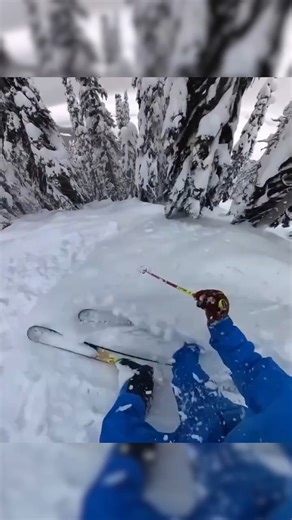 Wet & Wild ❄️💦🇨🇦 Pow Day Revelstoke Mountain Resort, BC, last week! This was the last day of my BC trip this year. 19 backcountry ski days in a row then 4 days skiing Revy. Headed back to Utah now to directly face the 2 week snow drought currently slamming The West 🔨🌞. Should I start skiing park 🦘? This BC trip was one of the most spectacular of my life with maybe the very best snow quality I've ever immersed myself within. Thanks, BC! 🏄‍♂️ Miles Clark SnowBrains 🎿 Meier Skis 🧥 Elevenat