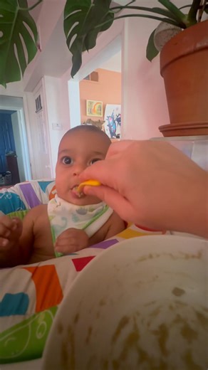 Lenox is totally using sign language to communicate! #asl #BabySignLanguage | Dina Brass