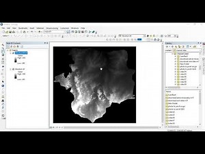 Resampling rasters in ArcGIS