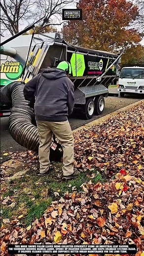 collecting fallen leaves on roadside using work tool industrial leaf vacuum #tool #worktool