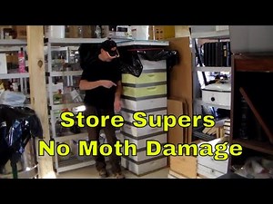 Storing Honey Supers Over Winter without Wax Moth Damage #beekeeping