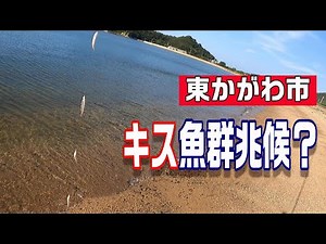 香川県東かがわ市サーフでキス釣り場所新規開拓！！ 【魚神の釣りいかれへんわ】