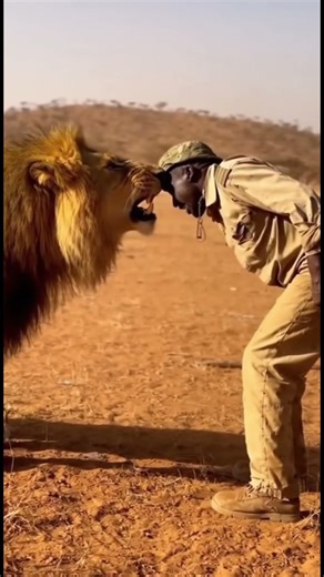 SKILLED RANGER CALMLY Deters Charging Lion with a Stick