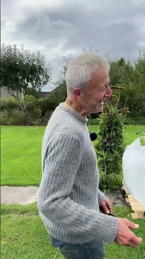 Harvesting and shelling dry beans