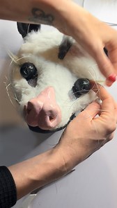 Part 1/2 of part one because instagram doesn’t let me post 3 min videos lol This is a mask I’m making to promote my blanket collaboration with @littlegoodknits #opossum #howto #cosplay #mask | Art of Jessica Lowe