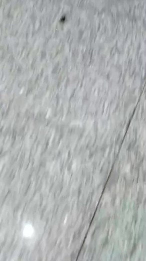 Super Decompression Video | Crushed by High Heels