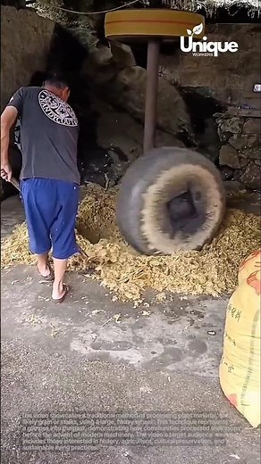 Uncovering ancient farming techniques: grain milling