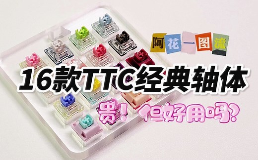 【阿花一图流】16款TTC经典轴体合集——贵！好用吗？丨金粉轴v2快银赤瞳ACE静音月白轴冰静v2兔轴静音红茶轴金兰兄弟轴晴空轴烈焰紫烈焰红西子暮山紫钢铁轴