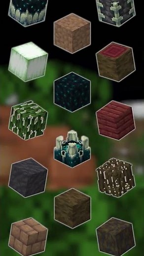 Explore Minecraft 1.19 With Badlion! #SHORTS