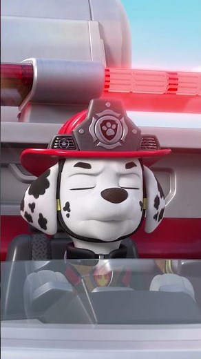 Rubble | Marshall Lidera o Resgate para Parar um Incêndio Florestal! 🔥🚒