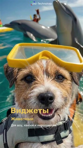 Экран тоже может шутить 😺🦁🐶 Добавляйте анимированных животных в шоу, викторины и ивенты — и ловите улыбки зрителей с первых секунд ✨ Готовые виджеты и футажи для LED-экранов — на сайте LED-Technology. Ссылка для загрузки — в профиле 🙌 #виджетотерапия #виджет #футажидляэкрана #LEDTechnology #фонДляЭкрана