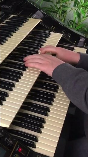 Hinter Den Kulissen Von Paris | Florian Hutter - Wersi Atlantis #shorts #organ #swing