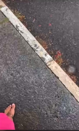 Il tire sur un bus Karulis en Guadeloupe Ce mercredi 30 juillet, aux alentours de 15h20, une scène de violence armée a semé la panique dans le quartier de Vieux-Bourg aux Abymes. Un individu armé a ouvert le feu en pleine rue, peu après avoir commis un vol. Au cours de sa fuite, le suspect a tiré à plusieurs reprises, atteignant notamment un bus en circulation. Ce dernier a dû s'arrêter en urgence près d'un supermarché du secteur. Selon les premiers éléments recueillis, une passagère aurait été 