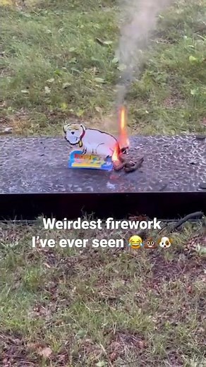 Weirdest Firework Ever!?!? Dog Pooping…🐶💥💨💩