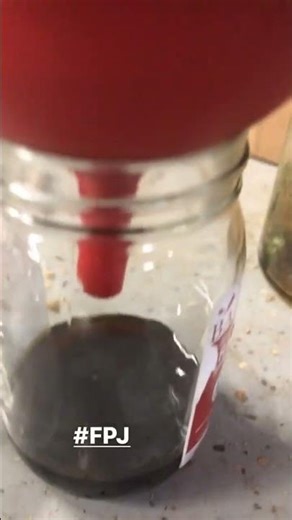 Making FPJ - Fermented Plant Juice Liquid Fertilizer - Korean Natural Farming
