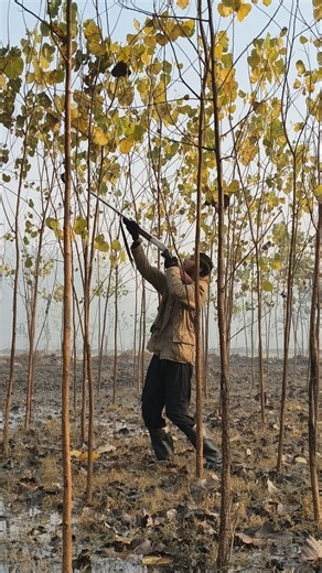 Hunting with a Classic Shotgun!