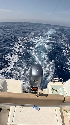 1M views · 15K reactions | Marlin Try to attack again #marlinfishing #fishing #fypシ #ocean #boatlife #boattrip #trip #reelsvideoシ | Omar pêche vlog | Facebook