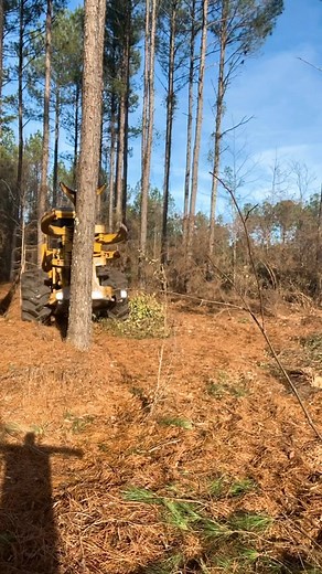 #fypシ #loggerlife #loggingmachine #fellerbuncherlife