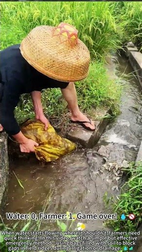 Farmer uses soil bags to fix field gap! 🧱🌾