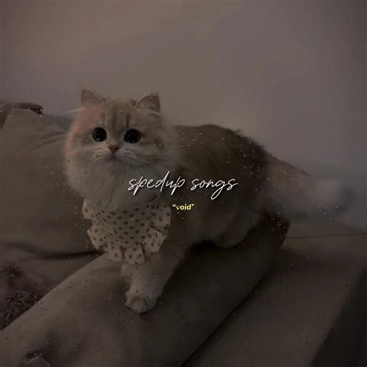 Top Punjabi Songs Trending on TikTok