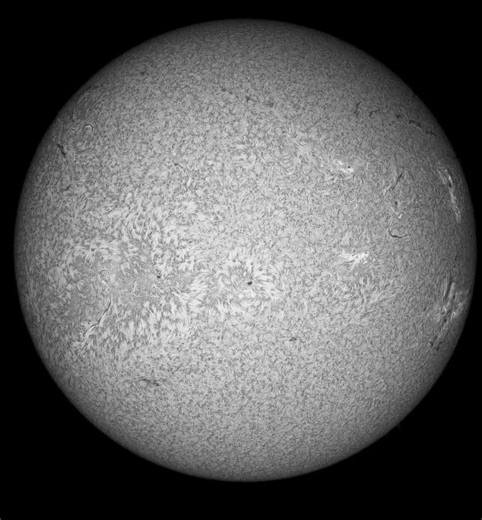 whole disk animation Acuter Phoenix jan 25