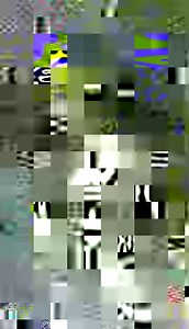 Kiya 🐬 and a pelican chase a fish 🐟 (Yellowfin Bream) under the jetty during the 3rd dolphin experience 28/06/2023, watch the video to see who catches the fish! If you're in Monkey Mia and see a pelican following a dolphin there is a good chance the dolphin is foraging, and they will be both be competing to catch the fish in the shallows. | Monkey Mia Dolphin Experience