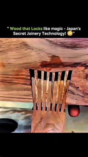 SCIENCE | HISTORY | KNOWLADGE | 🪵 Wood That Looks Like Magic: Japan’s Secret Joinery Technology • Japanese carpenters developed traditional joinery techniques over... | Instagram