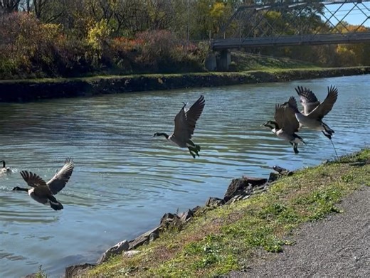 Lake Orchard Farm on Reels | Facebook