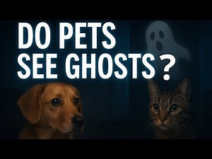 Do Pets See Ghosts? What Science and Myths Say