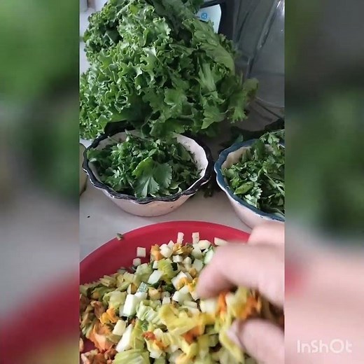 Iguanas Que comen?