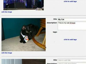Photobucket Tutorial: Tags & Descriptions