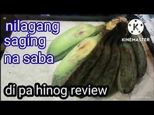 SAGING NA SABA (DI HINOG) REVIEW FOR DIABETIC