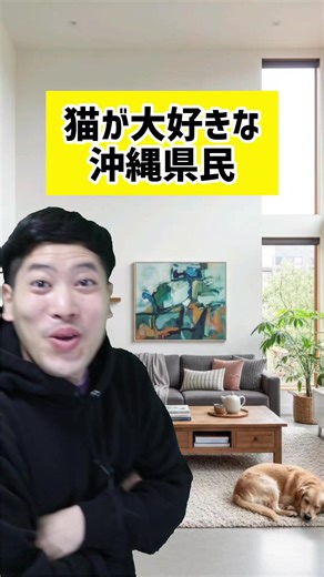 沖縄県民と猫カフェデートの計画