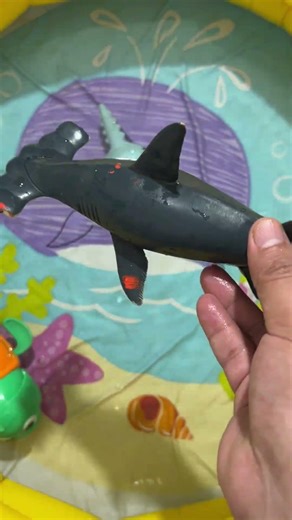 Sea Animal Toys for Toddlers – Learn Ocean Animals Names and Facts | Fun Educational Video for Kids