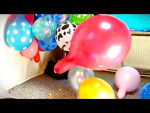 Automatic Balloon Popping Machine Pops most of its 36 Balloons and i Help Cleaning Up!