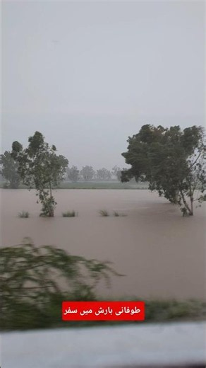 Train travel in heavy thunderstorm raining ⛈️#rain #weather #flood #train #trainspotting