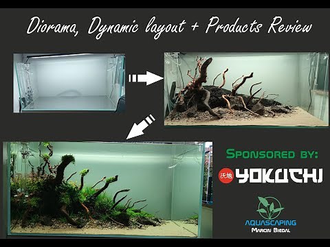 Triangular Diorama Style Aquascape - Step By Step Tutorial Sponsored by YOKUCHI + Products Review