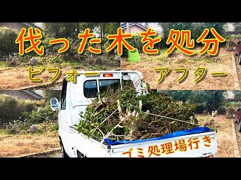 伐採した枝木の処分 ゴミ処理場へ軽トラックで運ぶ時に注意する点（伐った木の長さの処理 積む高さ シートなど）