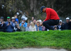 'Tiger' Documentary Review: A Humanizing Rollercoaster With Plenty Of Missing Pieces