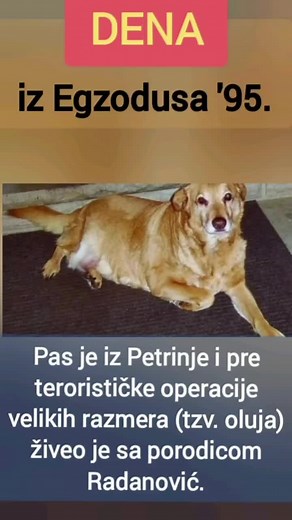 DENA iz Egzodusa '95: Priče i setne uspomene
