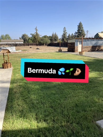 Bare Dirt to Lush Lawn: Hydroseeding Result in Visalia, CA