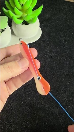 How to Hook Bionic Soft Lure