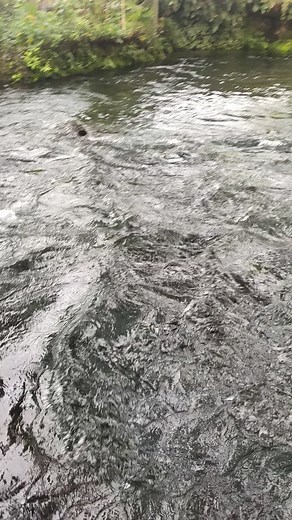 Cold spring 😍🥰#cold spring