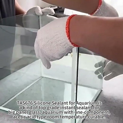 How to Apply Aquarium Sealant Properly?#aquariumsealant#silicone#tengyuchemical#aquariumsilicone