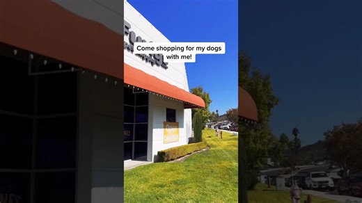 Pet store haul of all my absolute must-buy essentials