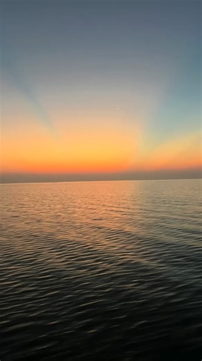 16 reactions | One week left for dove season. Come and get it! | Danny Neu | Facebook