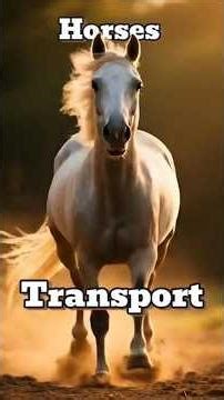 When Did Humans Start Using Horses for Transportation #transportation #HistoryFacts #Shorts