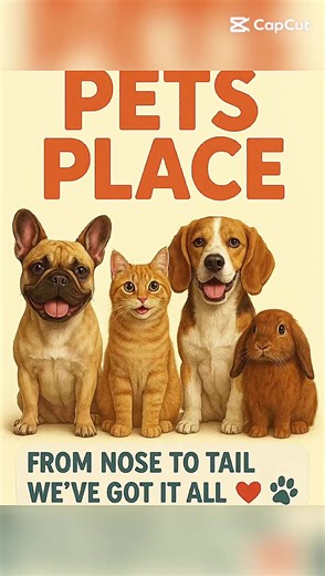 Welcome to Pet Place – Your One-Stop Shop for All Things Pet! At Pet Place, we understand that your pets are more than just animals—they’re family. That’s why we offer a wide range of high-quality products to ensure your furry, scaly, or feathered friends live their best lives.🖤🐾 ttps://ptwesb-4r.myshopify.com #dog #cats #animals #fyp #explorepage #PetEssentials #cute #gift #petsupplies #PetsPlace #gift #travel #pets #clothes #petclothing