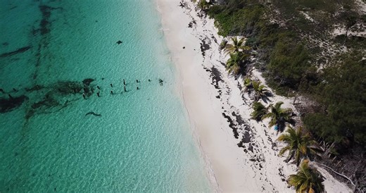 Cancun, Mexico, Beach. Free Stock Video
